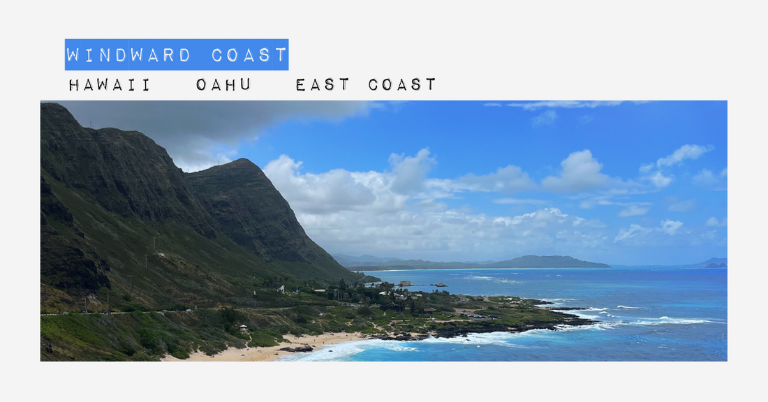 𖦹 Which Coast is the Best Coast on Oahu?