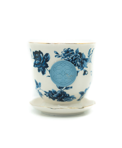 Blue Jasmine + Royal Fern Beeswax Teacup Candle